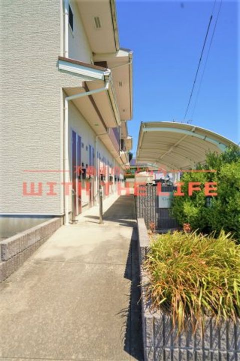 コンフォート205号のその他画像