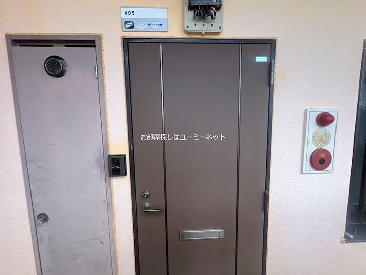 ROSE向井のその他画像