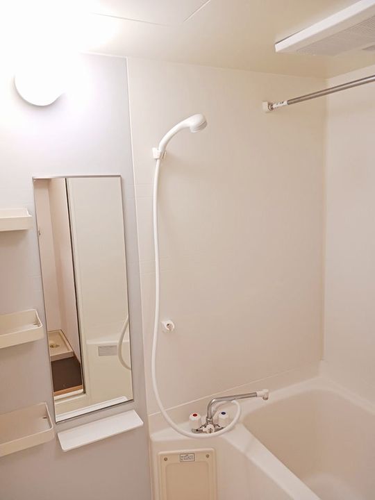 ニュー・フラワーB棟の風呂