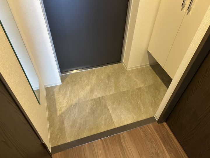 大阪府吹田市江坂町5丁目(マンション)の賃貸物件の玄関