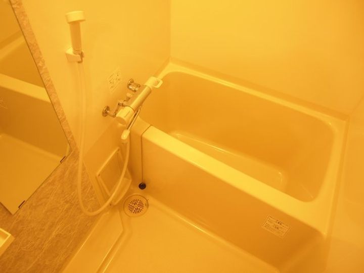 W-STYLE新大阪Ⅱの風呂