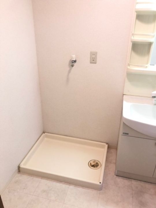 コモドのその他画像