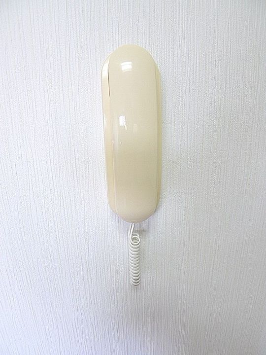 埼玉県越谷市瓦曽根1丁目の賃貸マンションのその他画像