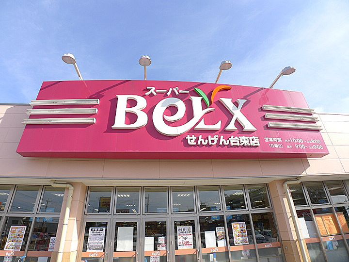 埼玉県越谷市大字大泊の賃貸アパートの周辺