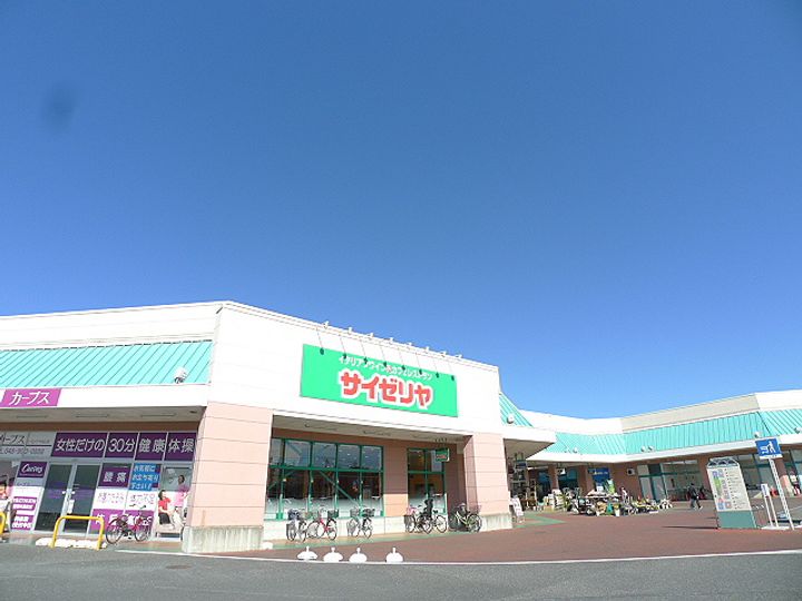 コバックスの周辺