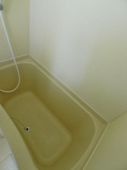 シャルマン蒲生Bの風呂