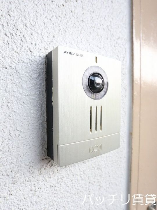 ステラ向野のその他画像