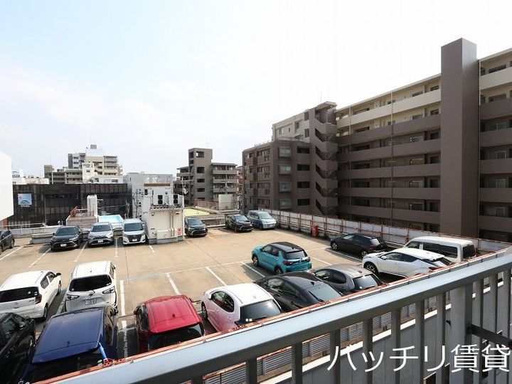 ステラ向野のその他画像