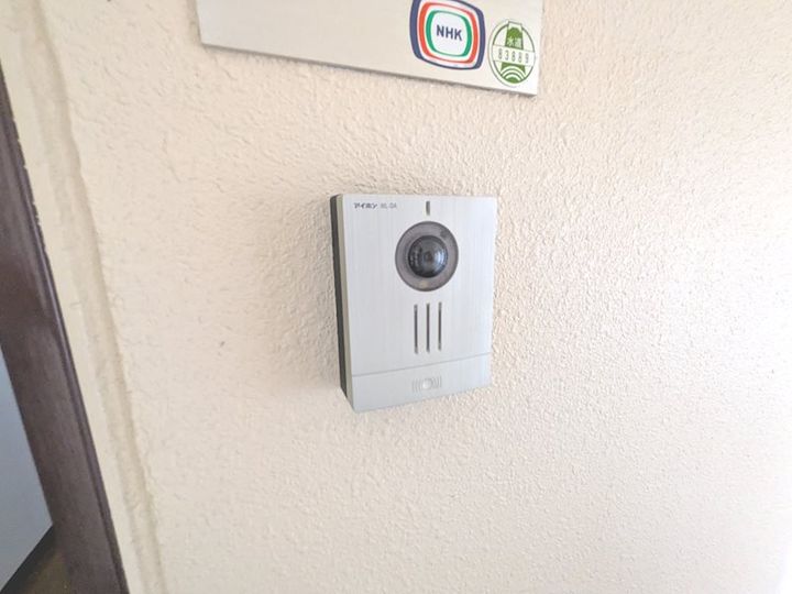 プルメリアのその他画像