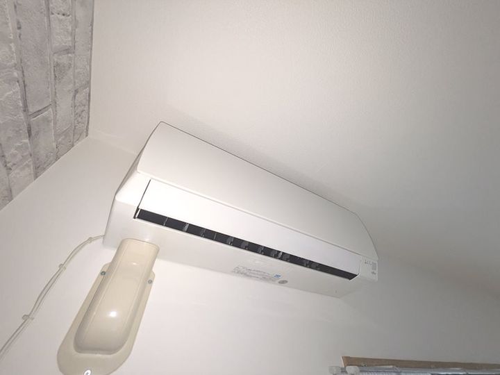 プルメリアのその他画像