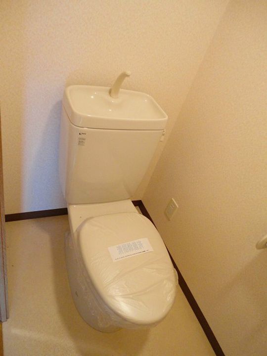 プルメリアのその他画像
