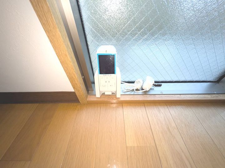 プルメリアのその他画像