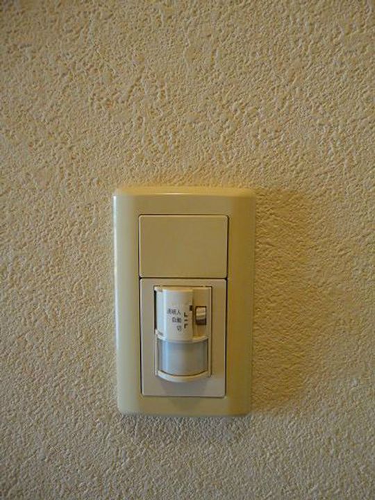 プルメリアのその他画像
