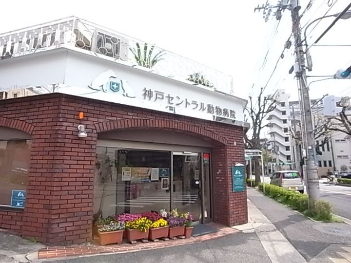 ビーコート熊内の周辺