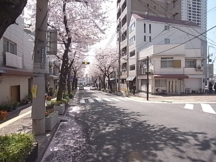 兵庫県神戸市灘区原田通2丁目の賃貸マンションの周辺