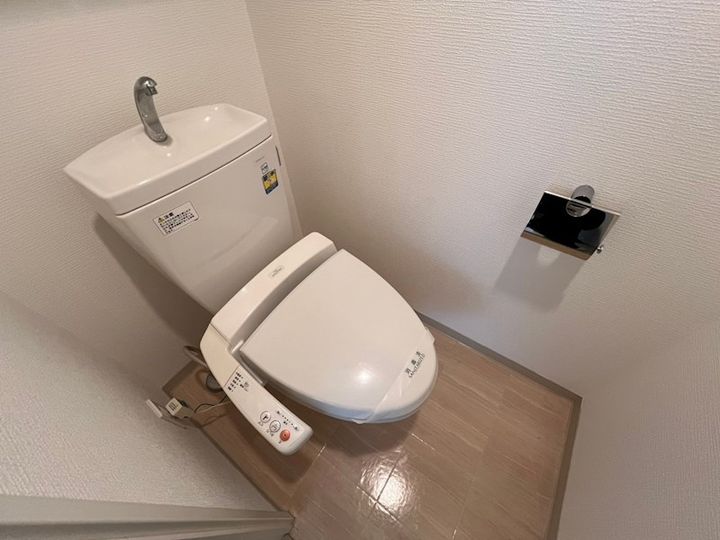 ドルフブランシュブルーのその他画像