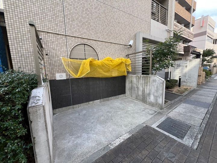 ドルフブランシュブルーのその他画像