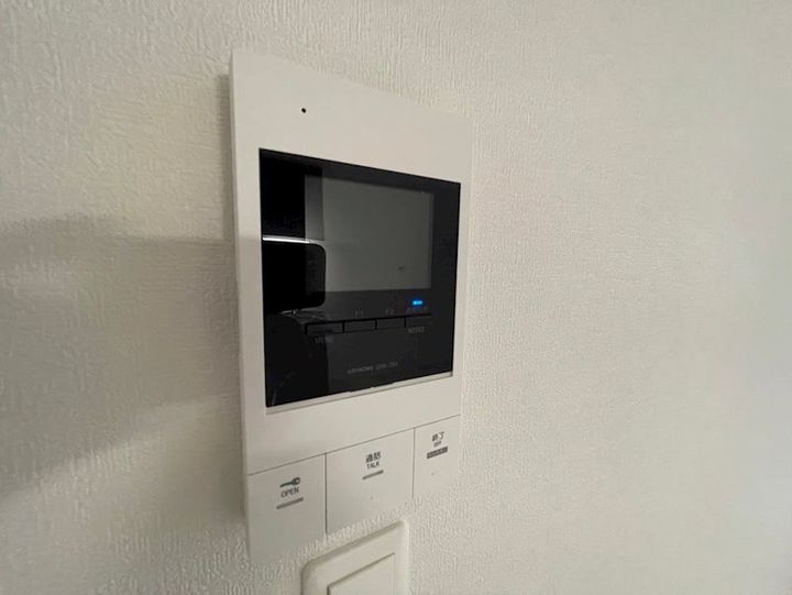 F asecia propusのその他画像
