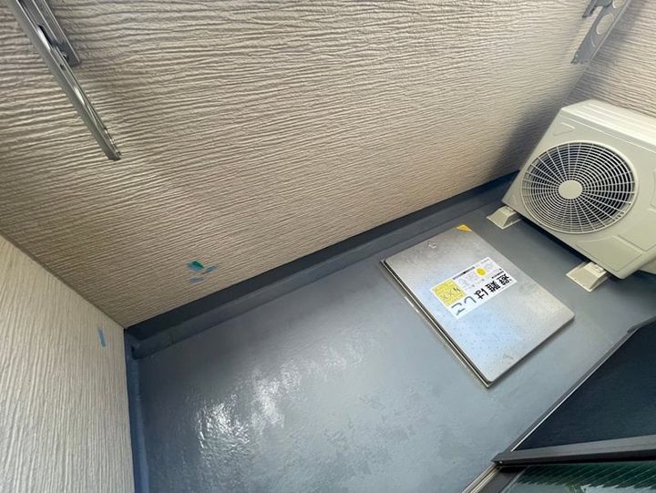 F asecia propusのその他画像