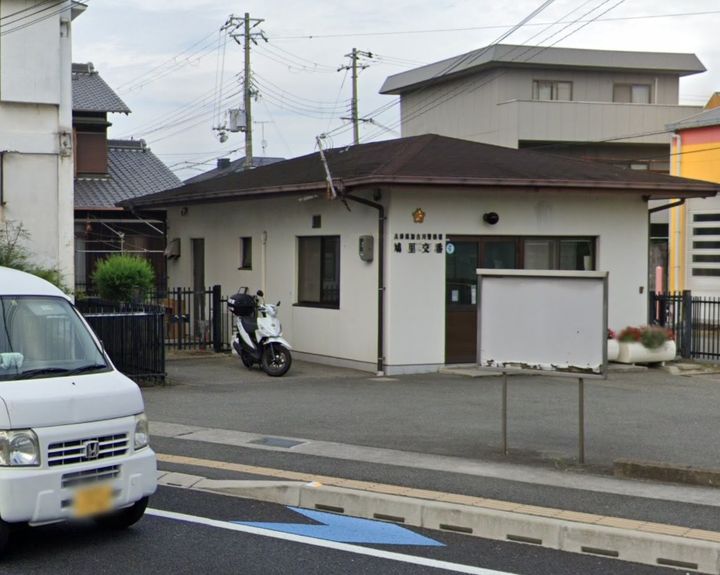 F asecia propusの外観