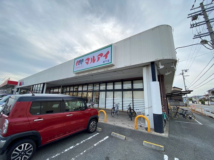 グレイス・セイバリーの周辺