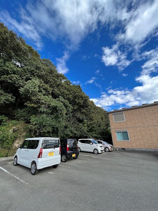 Luce Del Soleのその他画像