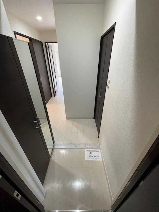 大阪府大阪市淀川区加島3丁目の賃貸マンションの玄関
