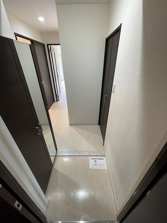 大阪府大阪市淀川区加島3丁目の賃貸マンションの玄関