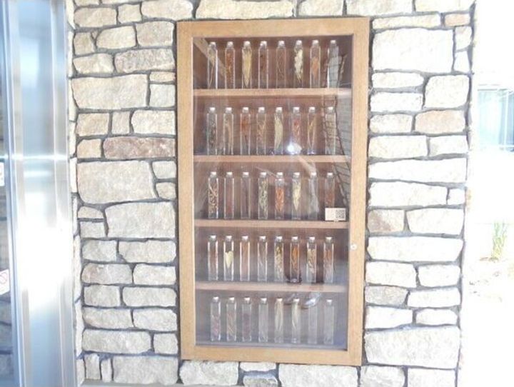 Jacaranda Yard Bの玄関