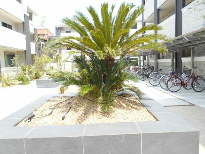 Jacaranda Yard Bのその他画像