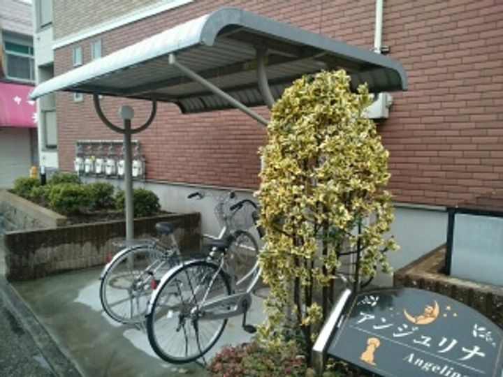 アンジュリナのその他画像