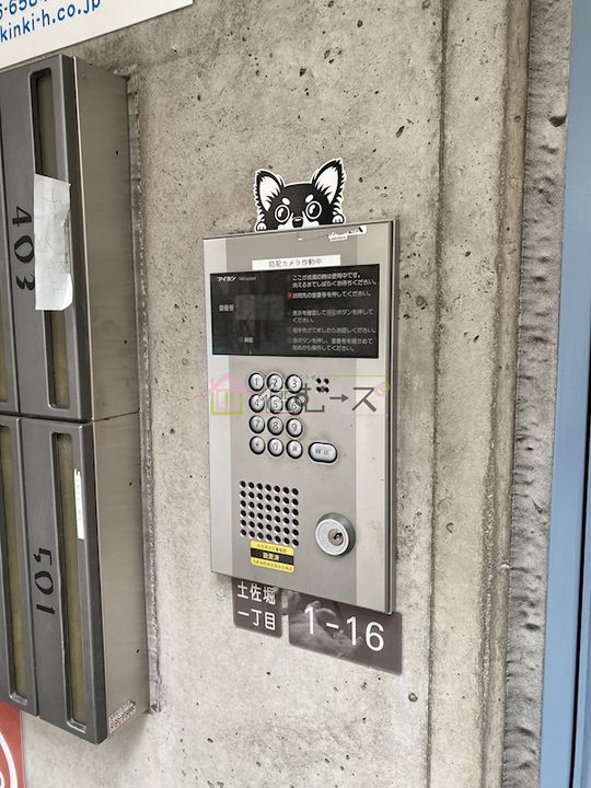 カーサゼブラのその他画像