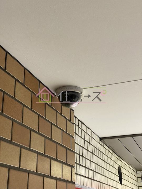柚樹ハウスの玄関