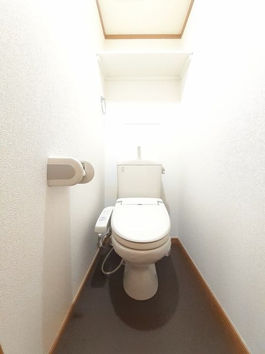 セイバリーレインのその他画像