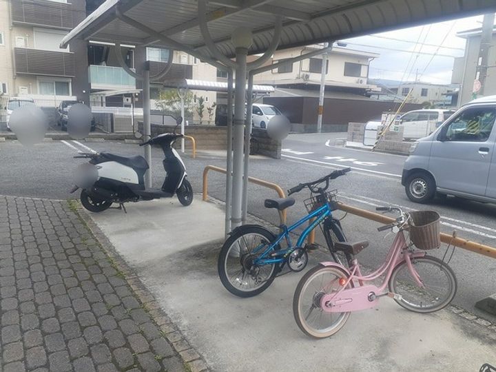 ソレアード・ニシキのその他画像