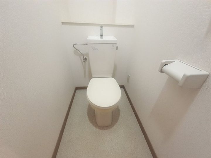 ソレアード・ニシキのその他画像