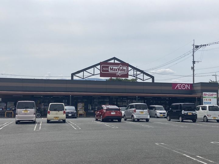 プリムローズ桜の周辺