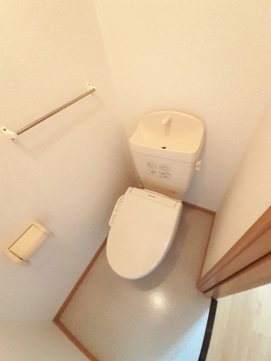 プラシードのその他画像