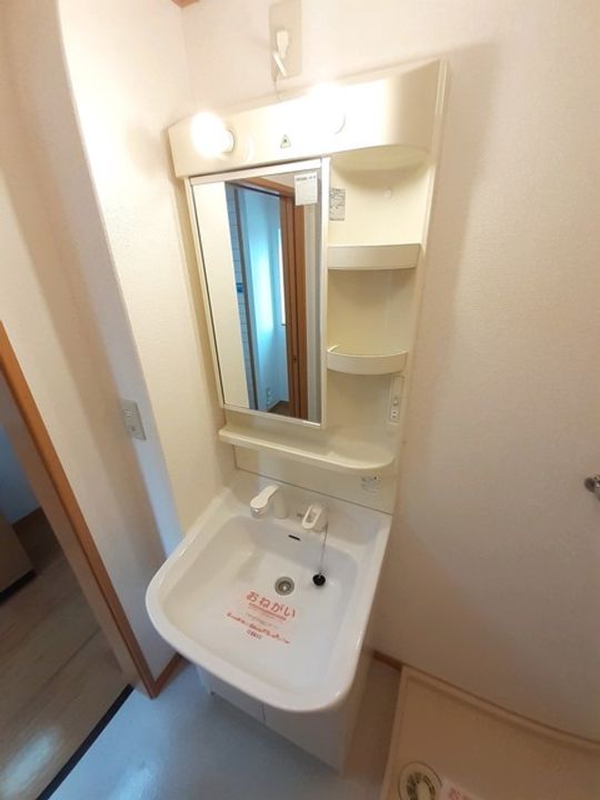 プラシードのその他画像