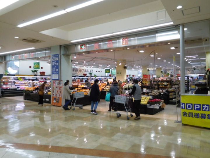 パークサイドマンションの周辺