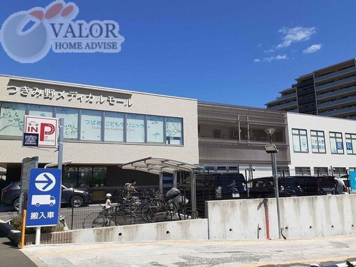 ジューンベリーの周辺