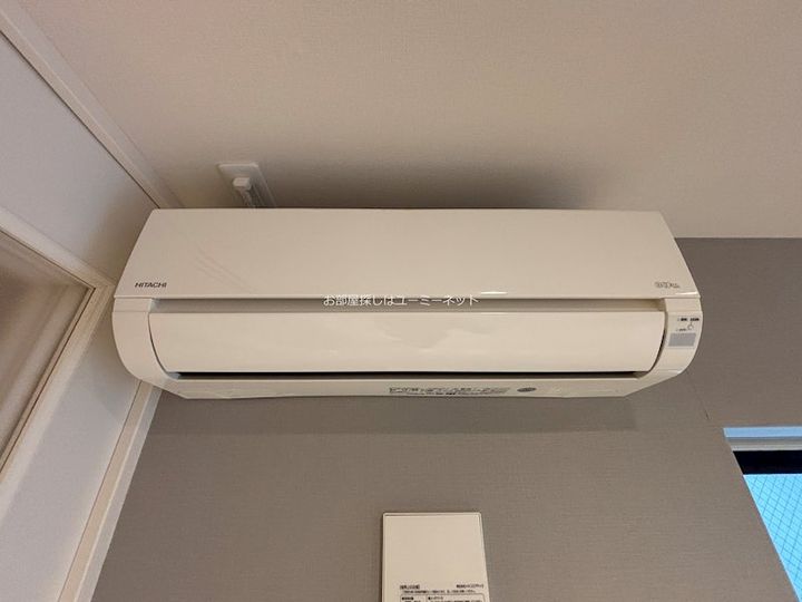 Graybrook Arataのその他画像