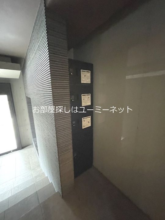 Graybrook Arataのその他画像