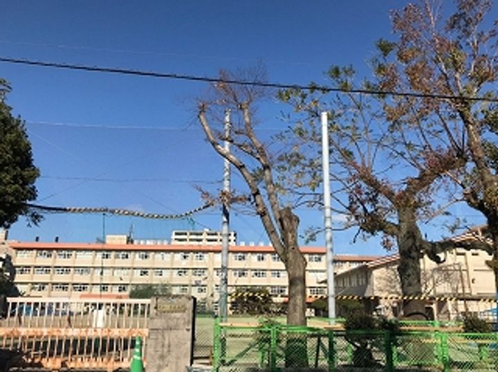 Graybrook Arataの周辺