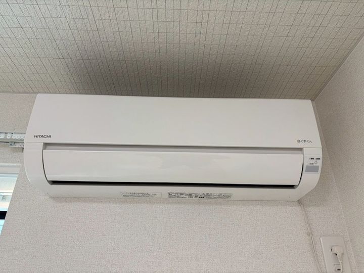 ルガル・コモドのその他画像