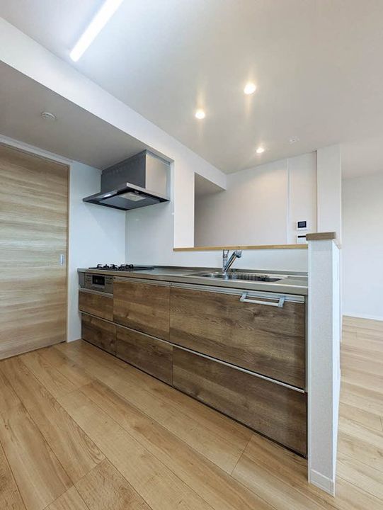 シャーメゾン カルパ302のキッチン