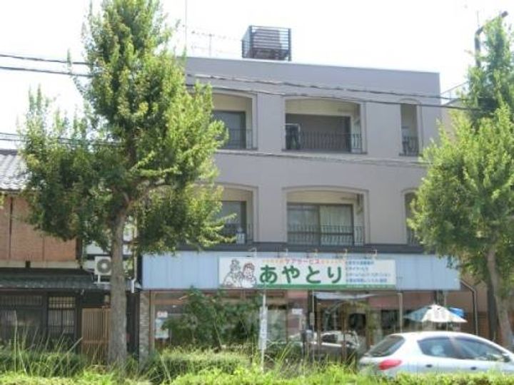 DOL?PHIN ?305の外観