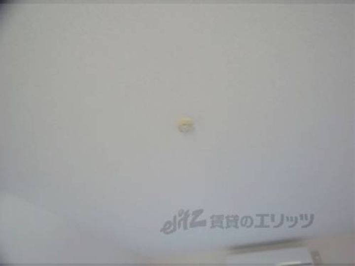 HAINES一条403のその他画像