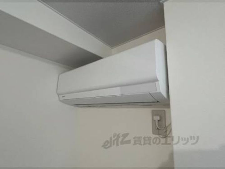 伽羅のその他画像