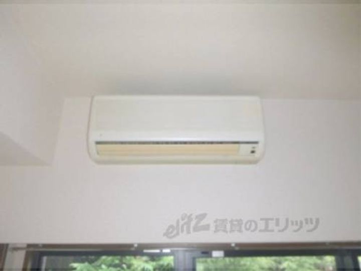 サウスビンのその他画像